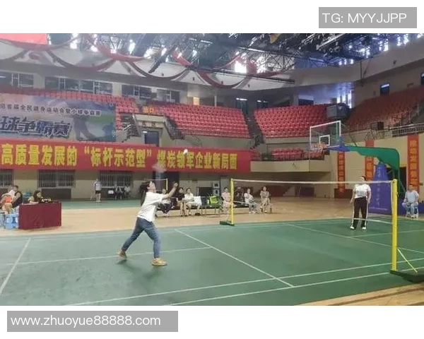 深圳羽毛球队转型之路探秘：从传统强队到现代化竞技新标杆